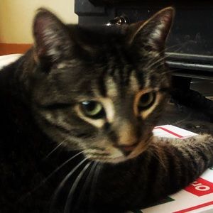 Meet your Posher, Jason